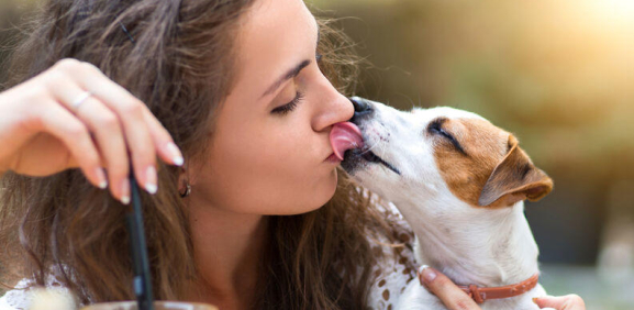 Ser besado por tu mascota podría afectar tu salud