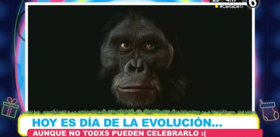 La evolución de los humanos también tiene su festejo