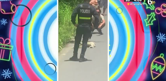 En Brasil ayudan a este tierno animal a cruzar la calle muy a su ritmo