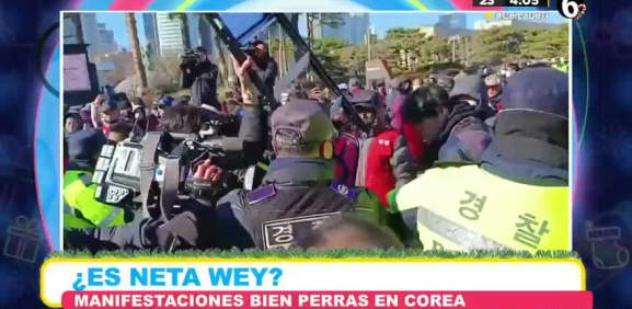 Corea del Sur busca prohibir el consumo de carne de perro.