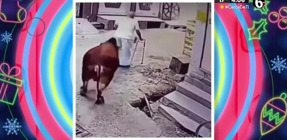 La abuelita sufre fatal caída provocada por este toro.