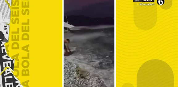 Visitantes quedan asombrados en las playas de Filipinas al ver lo que sucedía con estos peces