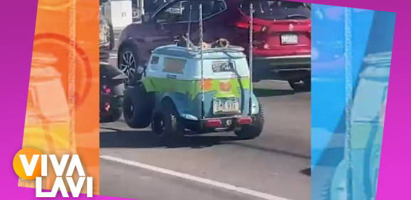 Perritos pasean en carro de 'Scooby Doo'