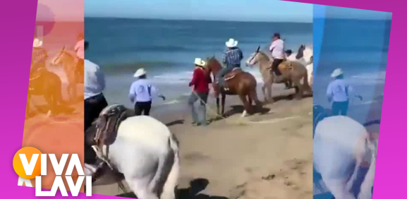 Caballos y jinetes son arrastrados por las olas en Mazatlán