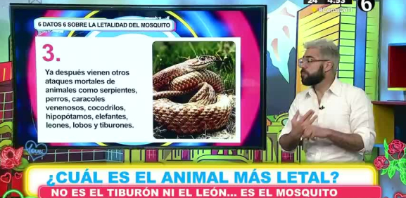 Conoce el listado de los animales más peligrosos y mortales