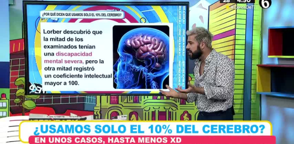 Según este estudio se descubrió diferentes grupos y que tanto usan el cerebro