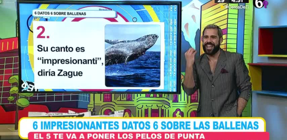 Desde su alimentación, cuanto tiempo viven bajo el agua y demás curiosidades sobre este impresionante animal