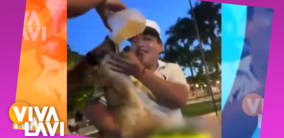 Hombres son exhibidos por darle whisky a un perro