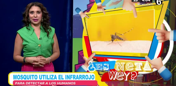 Esto es lo que usan los mosquitos para poder detectar a su victima