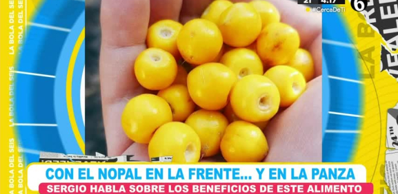 Algunos alimentos como nopales, frutos o algunas plantas ayudan en la salud