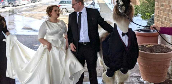 Hombre en España se hace viral por su emprendimiento de arruinar bodas