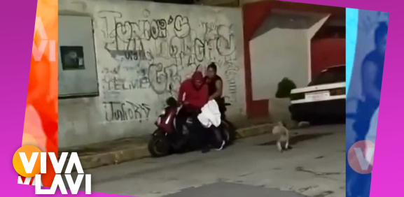 Pareja secuestra a perrito por morder a su hija