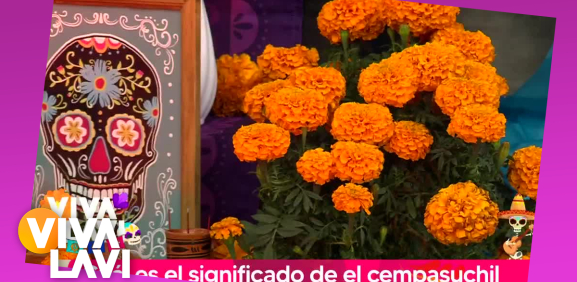 ¿Cuál es el significado de la flor de cempasúchil el 'Día de Muertos'?