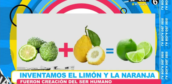 Conoce esta teoría de como nacen estas frutas