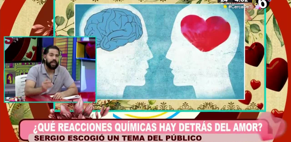 Conoce como funciona químicamente el cerebro al momento de enamorarse