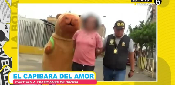 Aprovechó su ternura para atrapar a un traficante de drogas en Perú