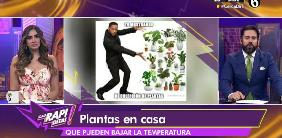 Programa completo