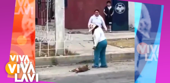 Captan a mujer maltratando a perrito