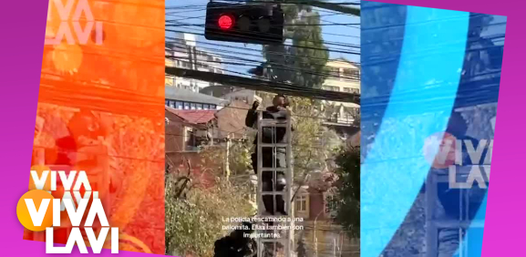 Policías rescatan a paloma atrapada entre cables de energía