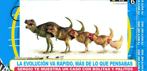 Con estos ejemplos se logra comprender más de la evolución de la naturaleza