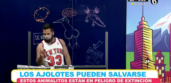 Programa completo
