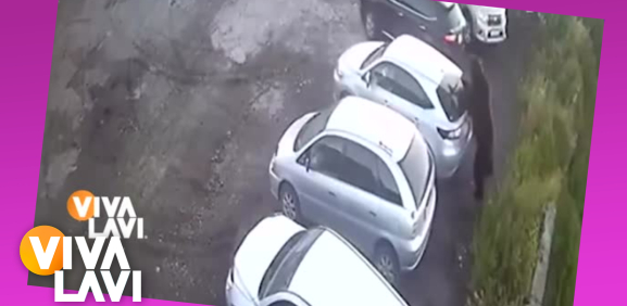 Oso sorprende a hombres en estacionamiento