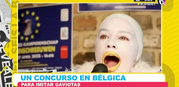 En Bélgica cada año en este lugar se celebra un concurso tan extraño