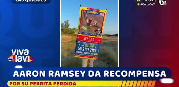 Aarón Ramsey ofrece recompensa por su perrita