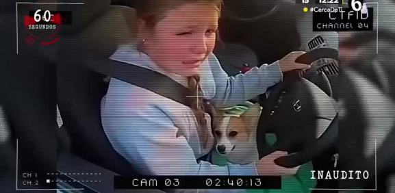 Menor maneja auto sin permiso para salvar a su perro