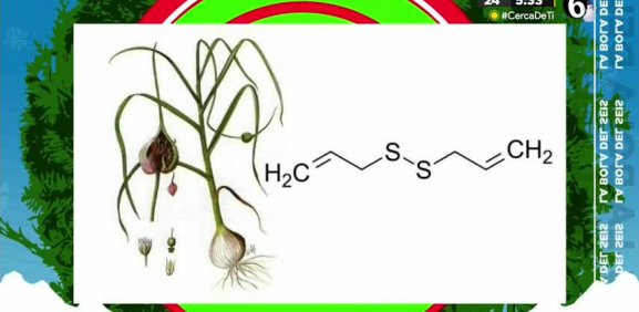 Conoce a detalle las propiedades de la cebolla