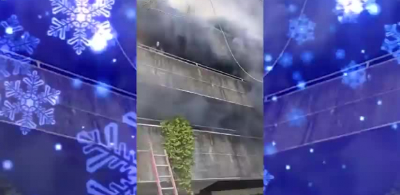 Mujer arriesga su vida por salvar a sus perros durante incendio