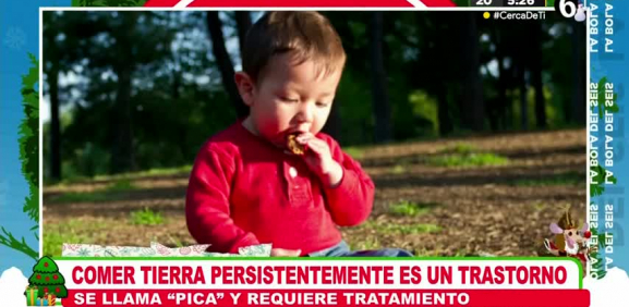 Conoce los beneficos y si es un trastorno el comer tierra