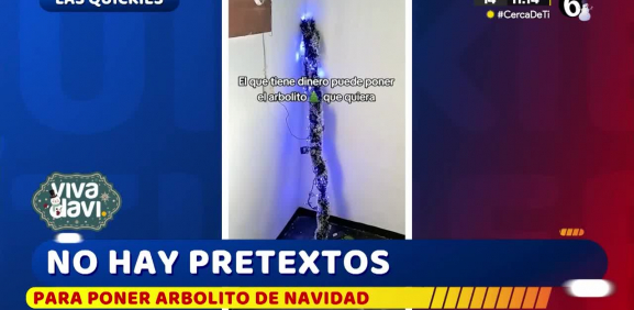 Familia decora escoba como 'pino' de navidad