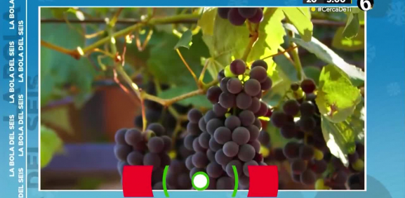 En México es muy común el cerrar el año comiendo 12 uvas como 12 propósitos para el nuevo año
