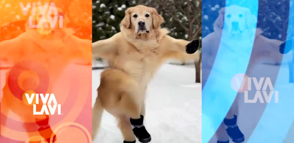 Conductores recrean video viral con IA