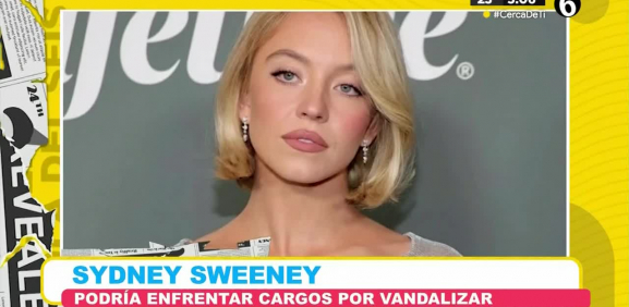 A Sydney se le olvidó que es ilegal tocar, escalar o alterar físicamente las letras de Hollywood