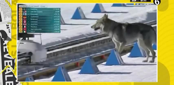 En pleno de los juegos olímpicos de invierno se llevaron