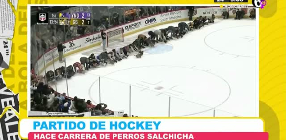 Como cada año este partido de hockey se convierte en una divertida carrera de perritos