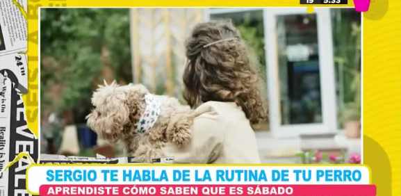 Por medio de olores, ruídos y otras maneras de ver el día a día es como se dan cuenta que es un fin de semana o descanso