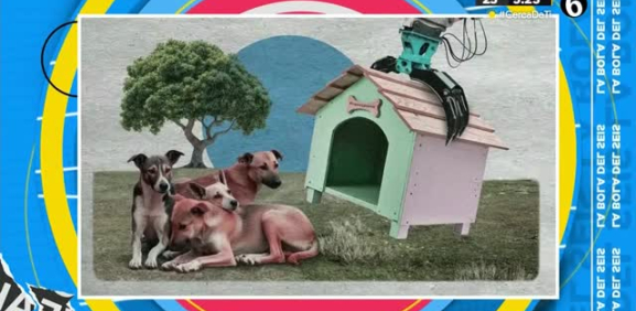 Para controlar el número de perros en la calle se usaron de estos métodos para que la gente adoptara cada vez más un perro