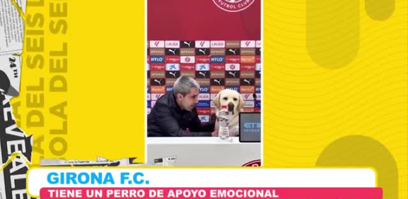 Comentan las ventajas de tener a este trabajador de 4 patas dentro de su equipo