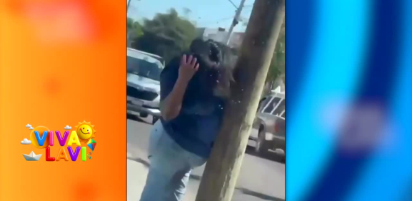 Mujer sufre 200 picaduras de abejas