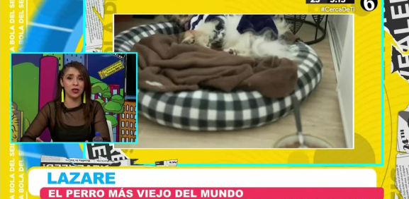 Con 30 años de vida, se convierte en la mascota con más años
