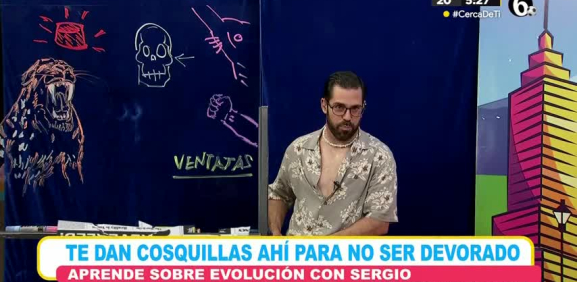 Programa completo