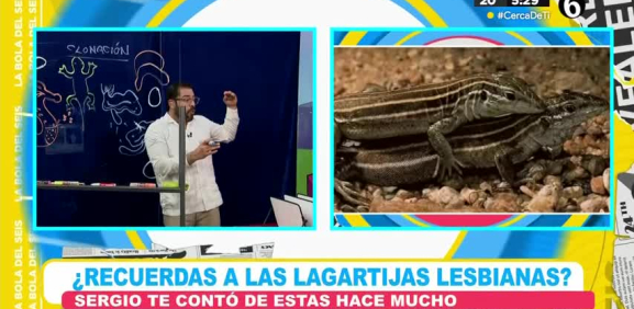 Casos como los caballitos del mar, el pez payaso entre otros, sorprenden con su manera de reproducción