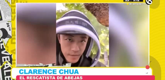 En los últimos seis años, ha reubicado de forma segura una media de 100 nidos cada año, lo que suma unos 6 millones de abejas salvadas