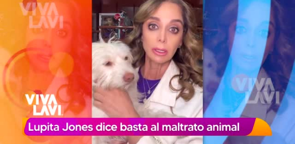 Famosas piden justicia para Rocky, perrito que fue arrastrado por camioneta