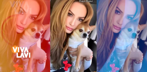 Patricia Navidad se despide de su perrito con emotivo mensaje