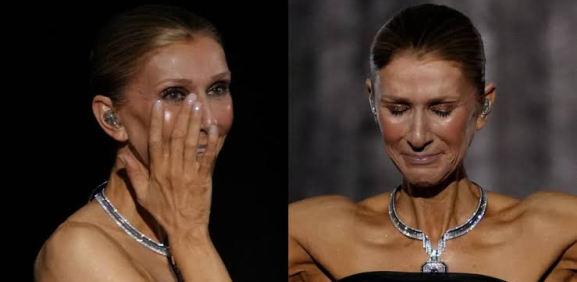 Celine Dion sufre caída durante concierto en París