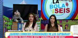 La bola del 6 - 06 de Junio del 2025